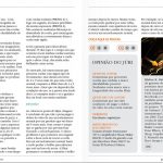 edicao-22-jul-2012-cordas-elixir-pagina-02